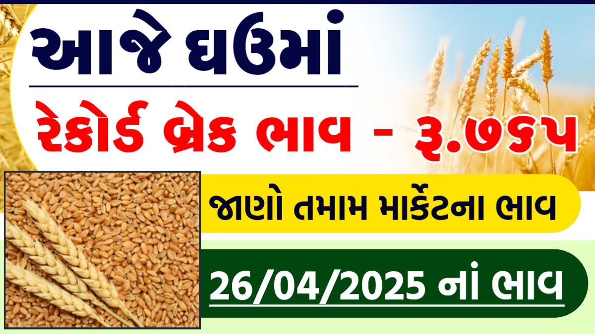 ghav teka na bhav