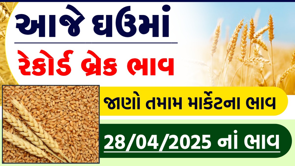 ghav na bhav today