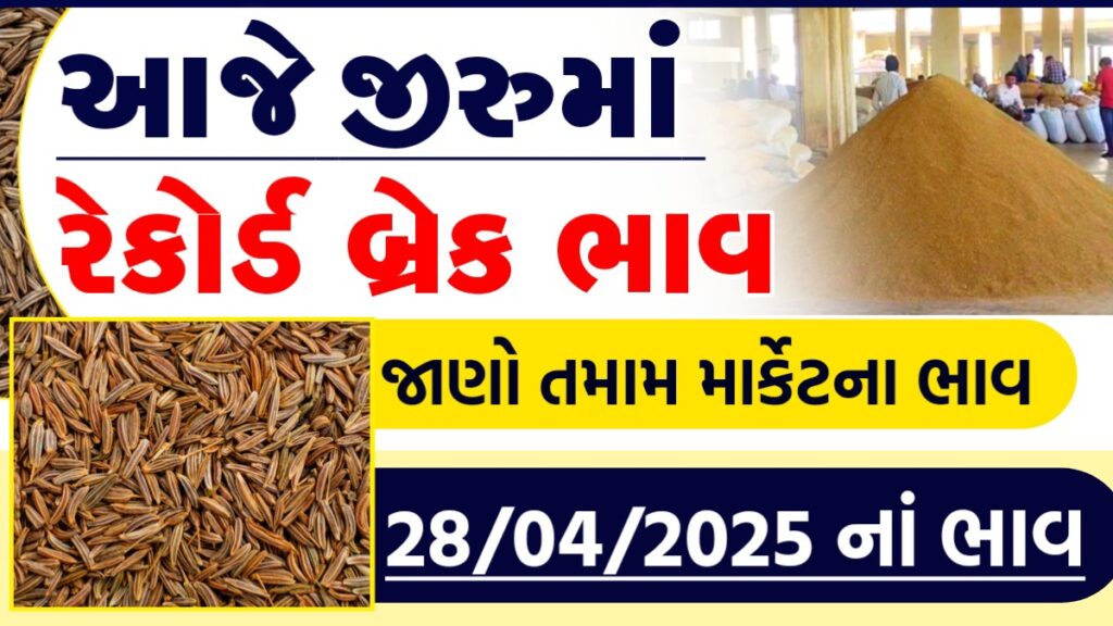 jeera ncdex live today