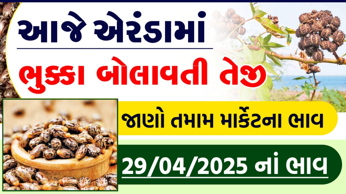 castor commodity price