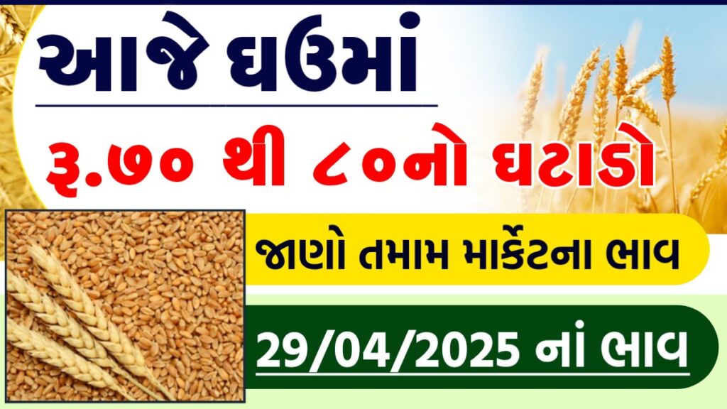 ghav na bajar bhav