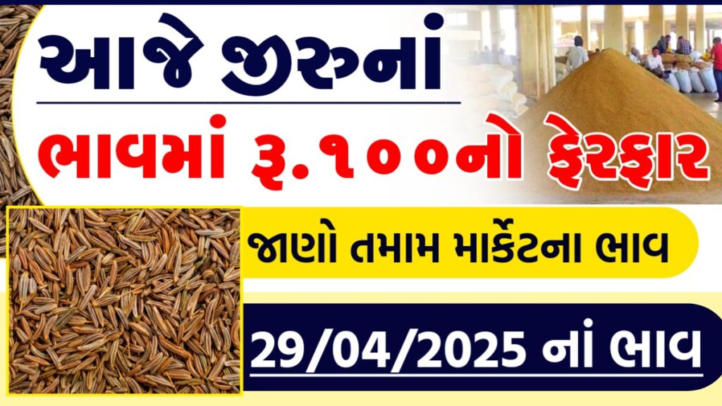 jeera ncdex live price