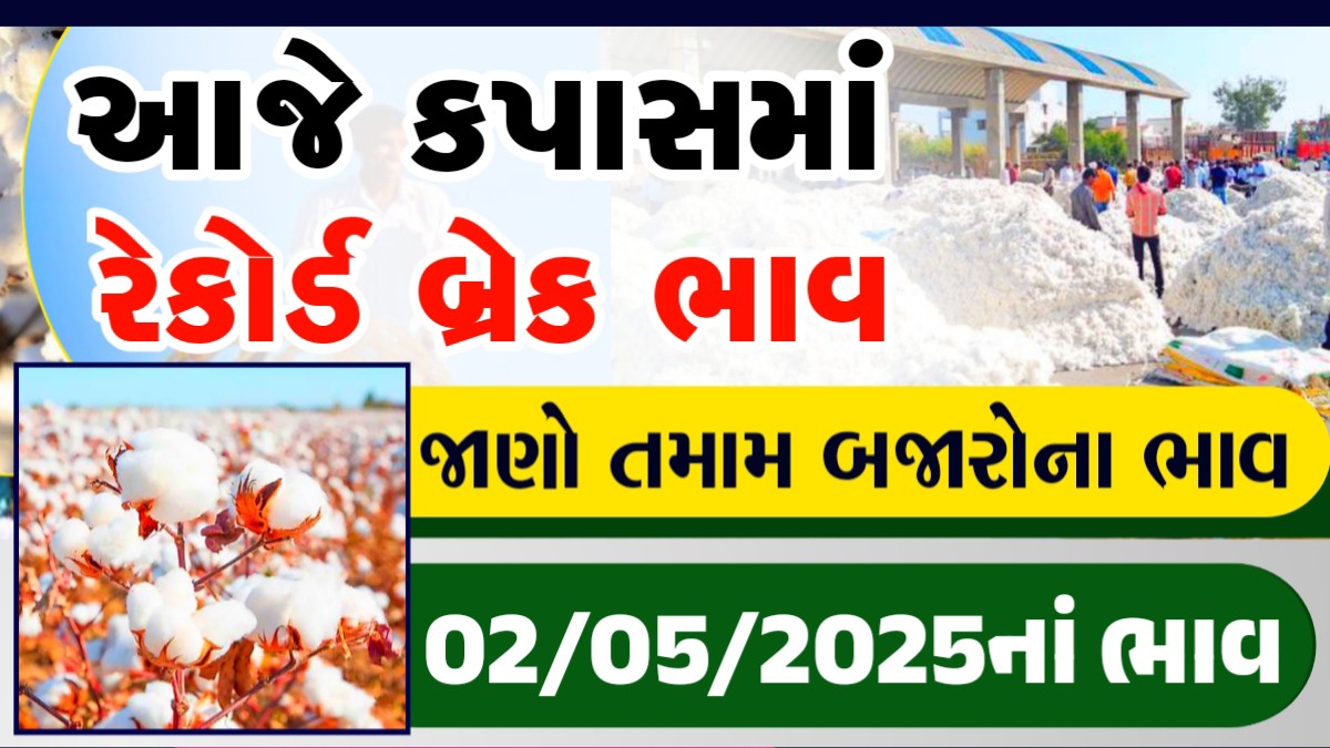 Record breaking cotton prices
