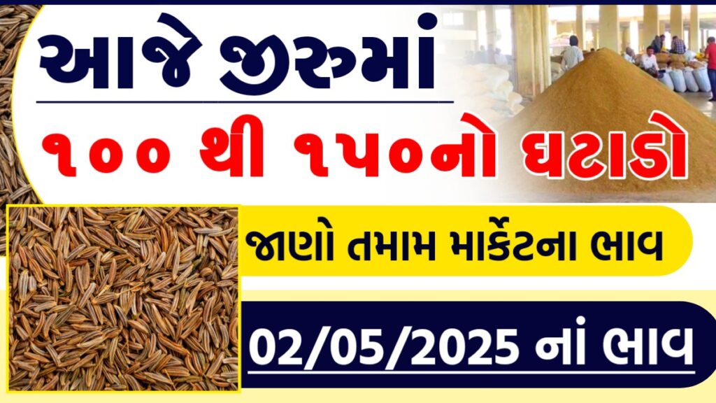 cumin rate per kg
