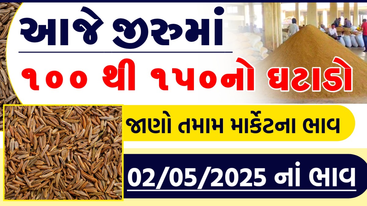 cumin rate per kg