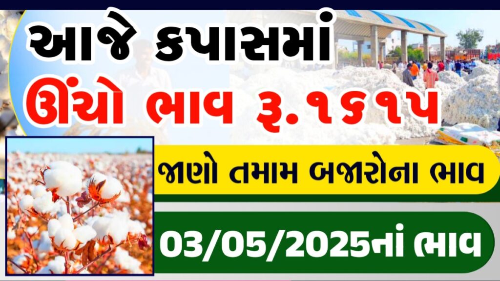 cotton rate in maharashtra