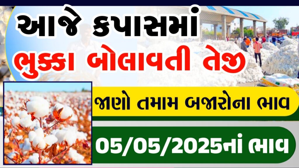 mcx cotton price
