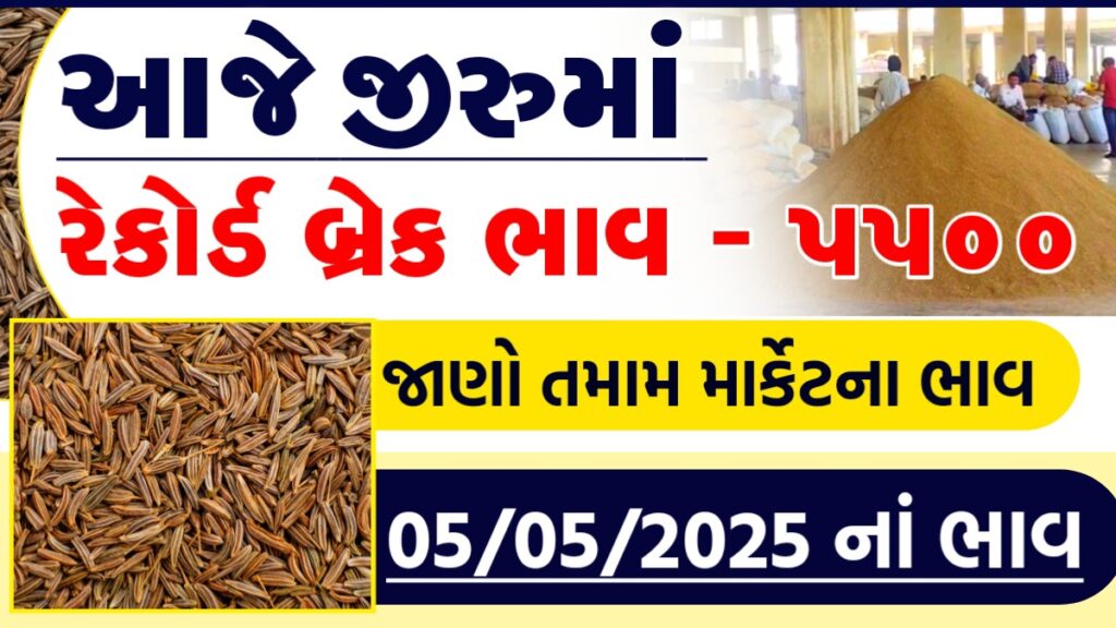 mcx cumin price