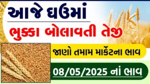 rajkot wheat price today