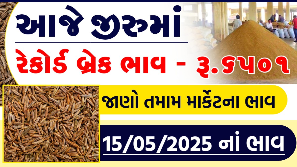 jeeru market rate today
