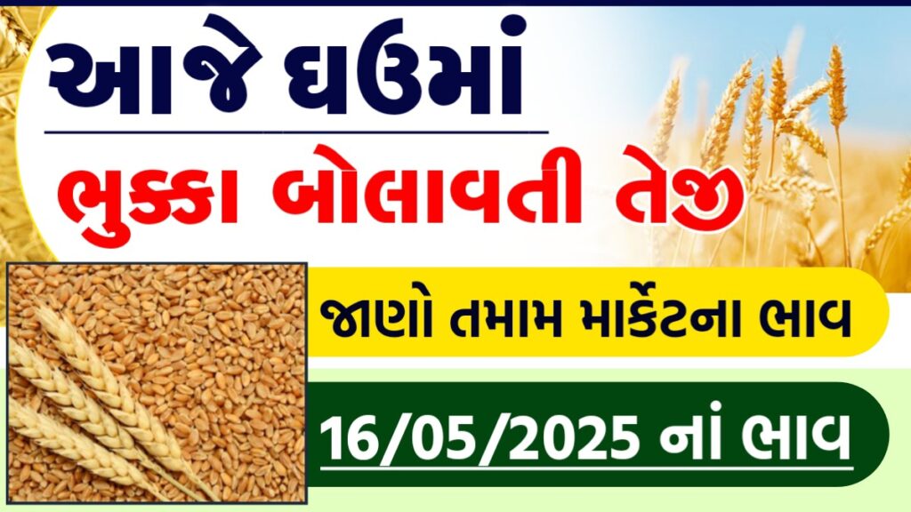wheat vayda bazar