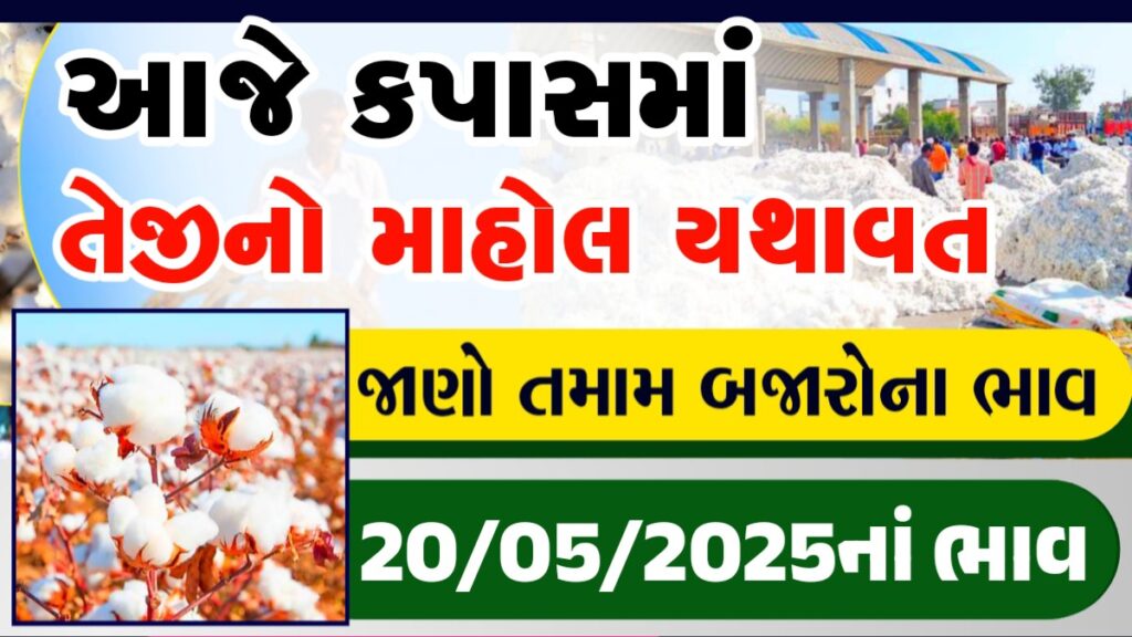 cotton rate in jamnagar
