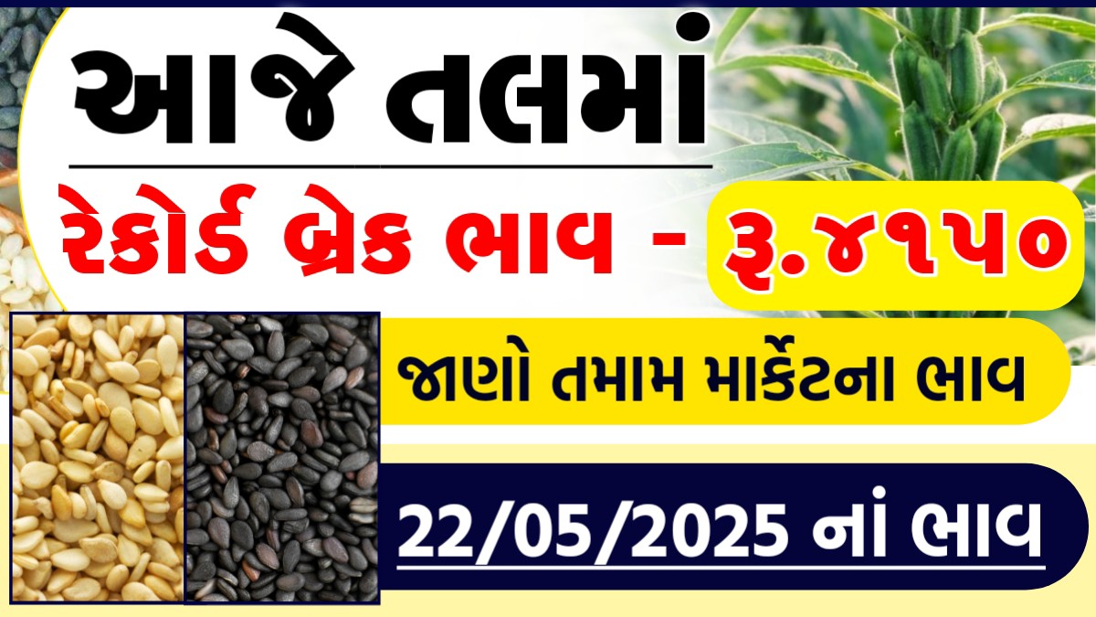 tal na bhav rajkot