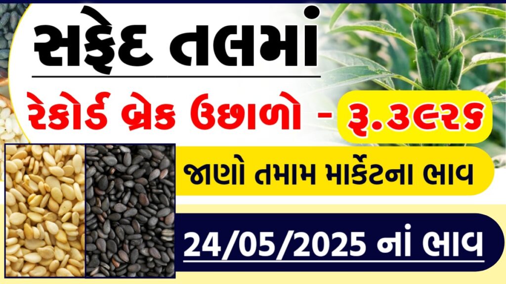 tal na bhav live