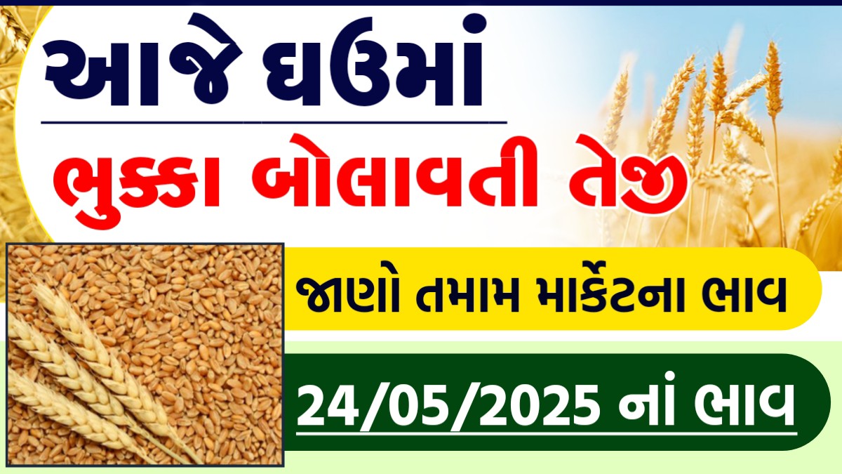 ghau na bhav live