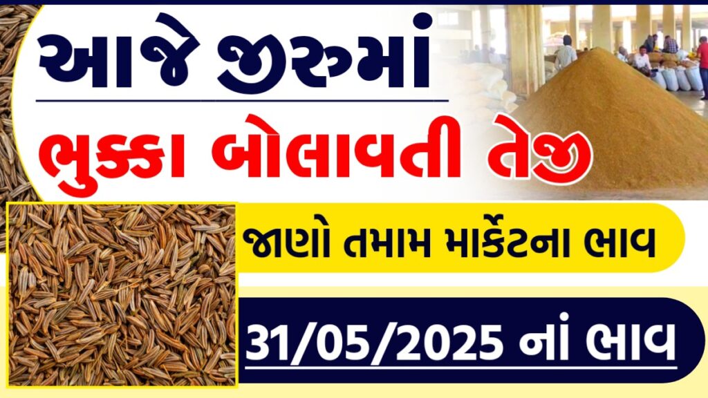 jeera na bhav live