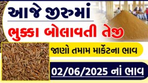 jiru bhav jamnagar