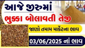 jiru bhav jamnagar