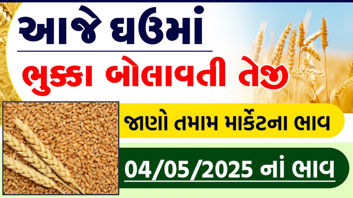 rajkot ghau na bhav