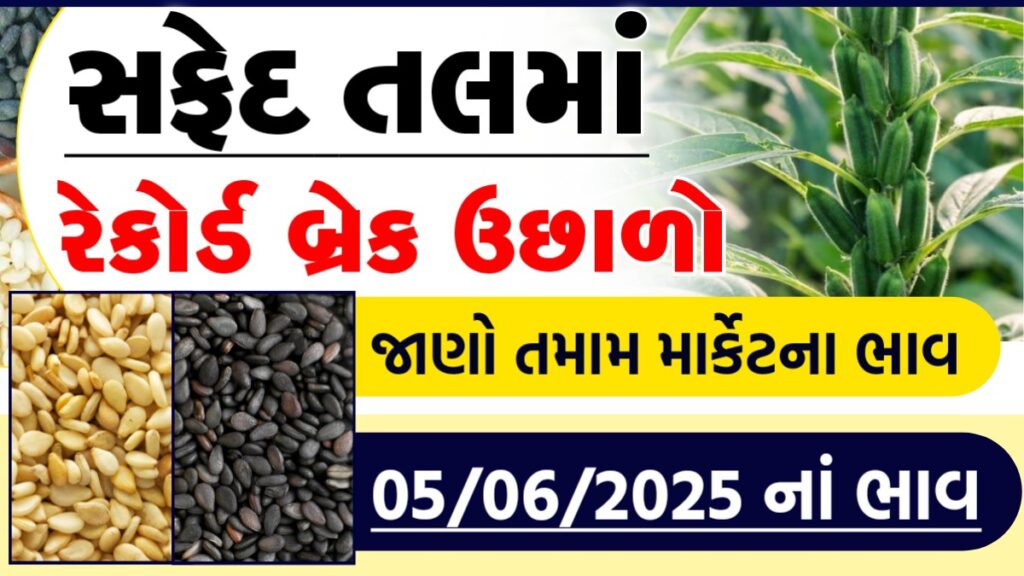 rajkot tal market
