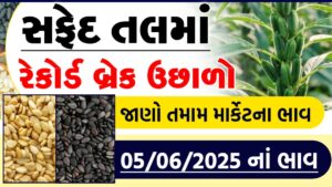 rajkot tal market