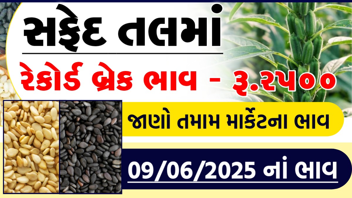 safed tal na bhav