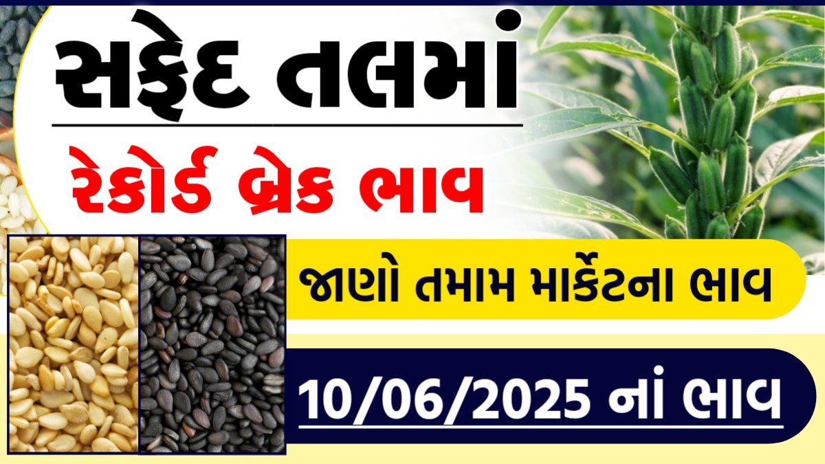 safed tal na bhav aaj