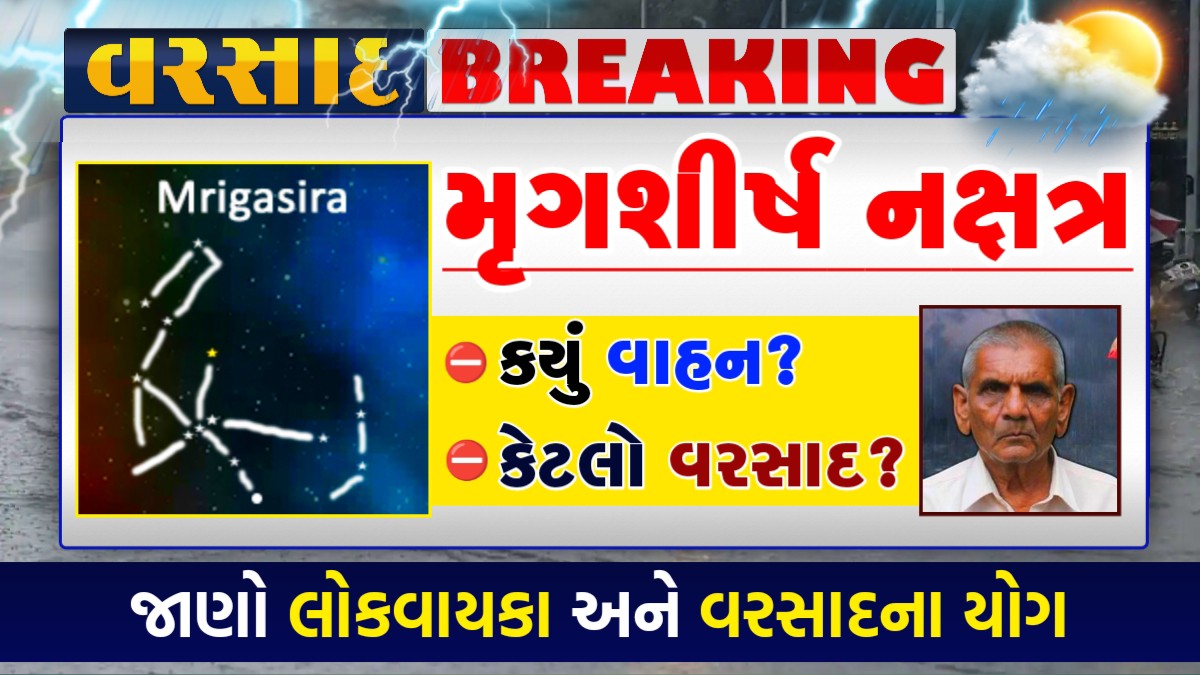 મૃગશીર્ષ નક્ષત્ર 2025