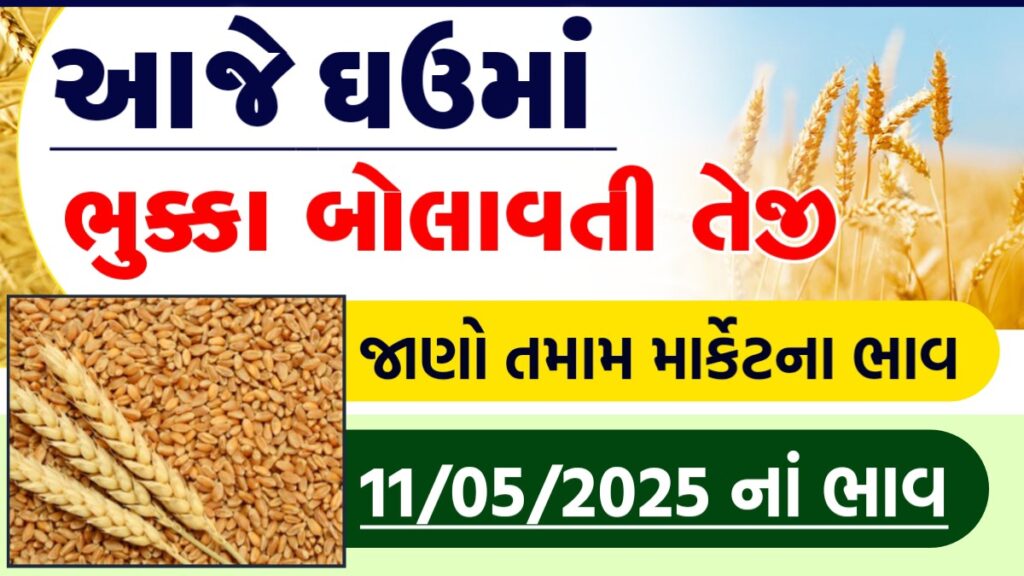 ghav na bhav