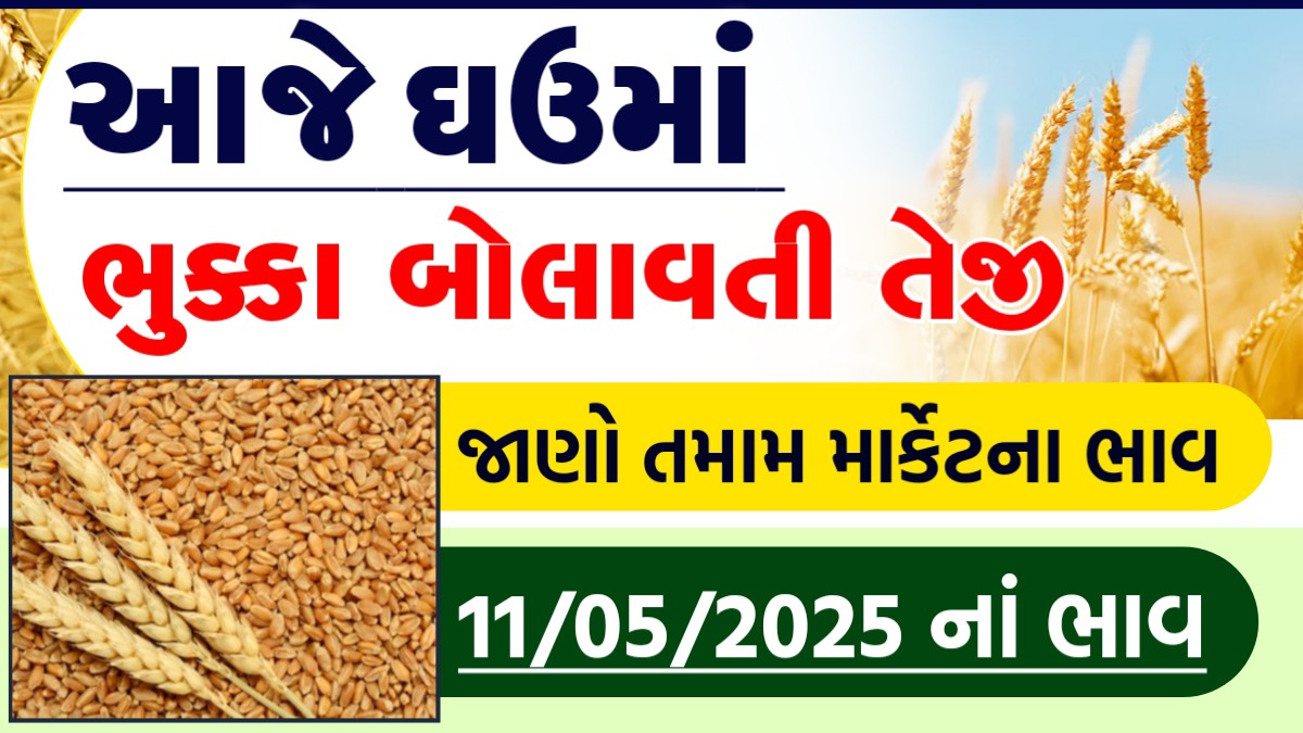 ghav na bhav