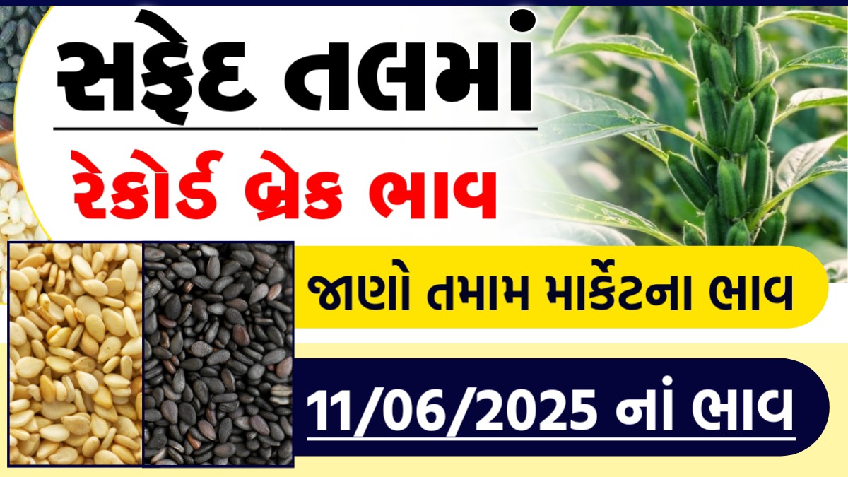 tal na bhav aaj
