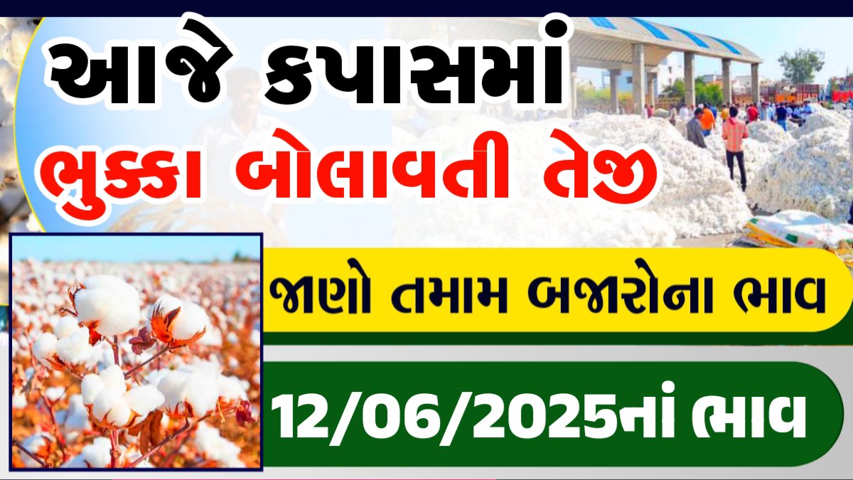 saurashtra kapas na bhav