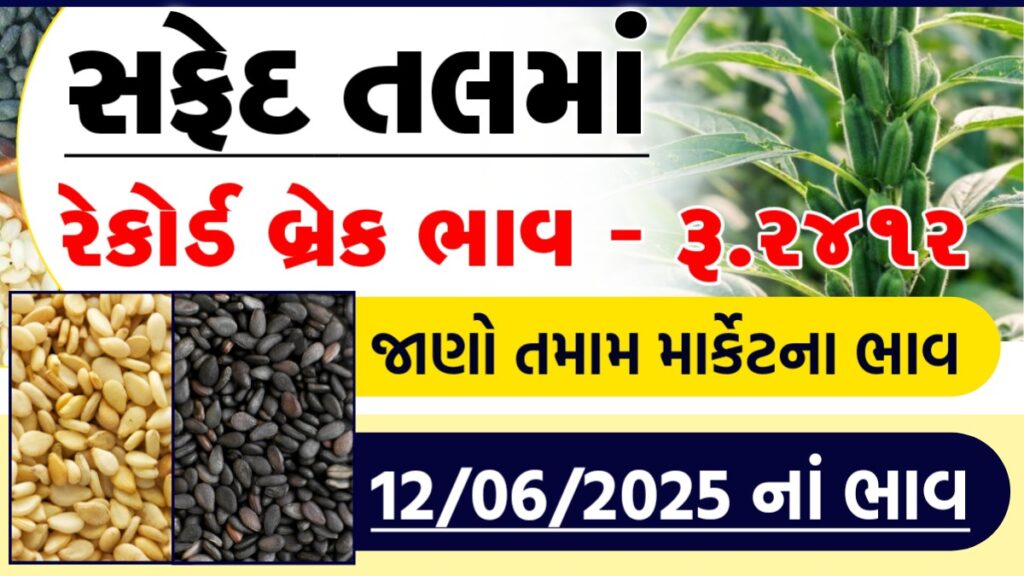 saurashtra tal na bhav
