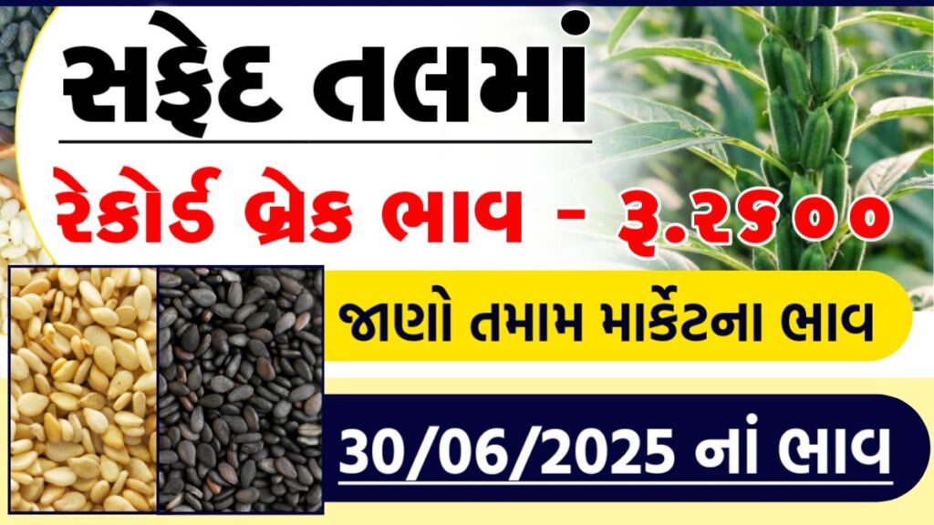 tal bhav gondal