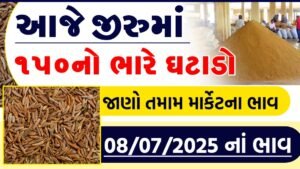 jiru bajar bhav today