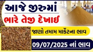 jiru bajar bhav today