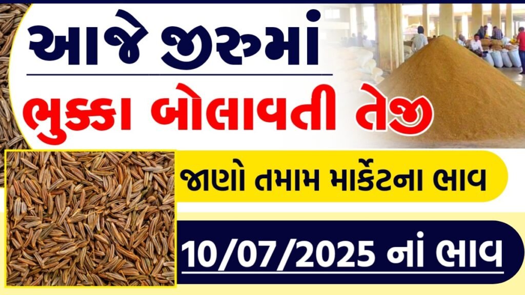 jiru bajar bhav today