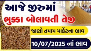 jiru bajar bhav today