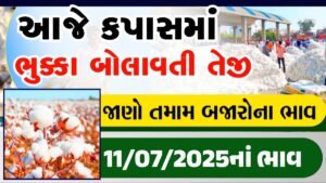 apmc cotton rate today
