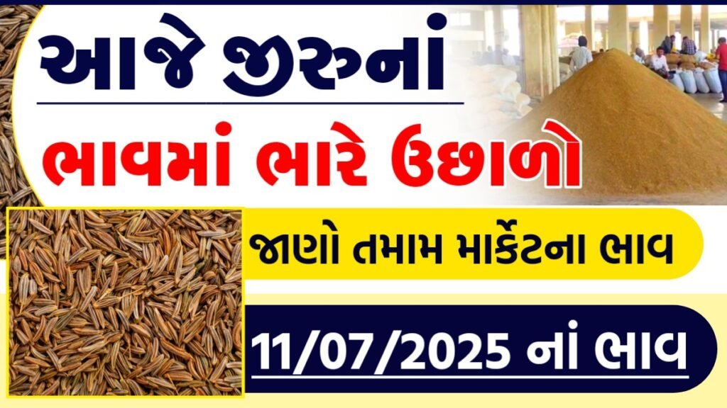 jeera apmc rate