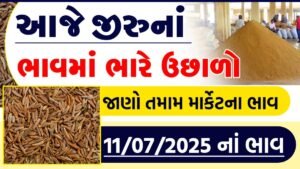 jeera apmc rate