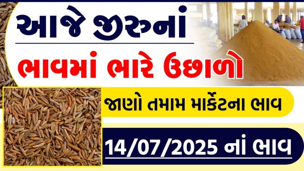 jeera apmc rate