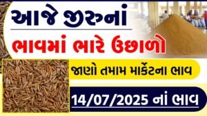 jeera apmc rate