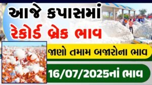 cotton market bazar bhav
