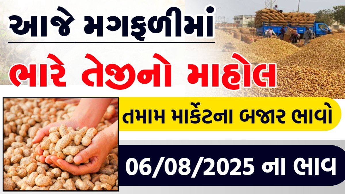 magfali-bhav-today