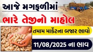 magfali bhav today