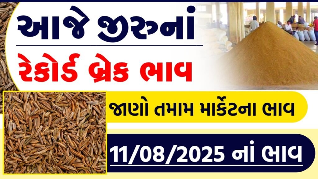 jeera apmc rate