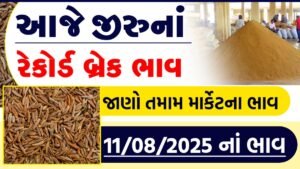 jeera apmc rate