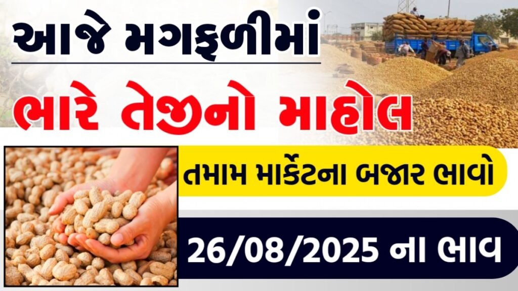 peanut mandi bhav