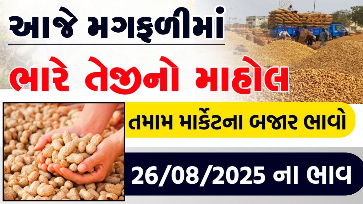 peanut mandi bhav